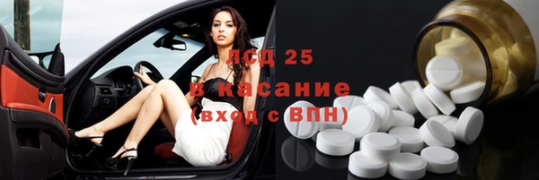 стафф Аркадак