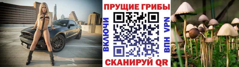 Галлюциногенные грибы MAGIC MUSHROOMS  Лихославль 